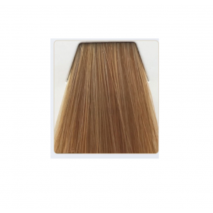 COLOR TOUCH თმის საღებავი 10.73