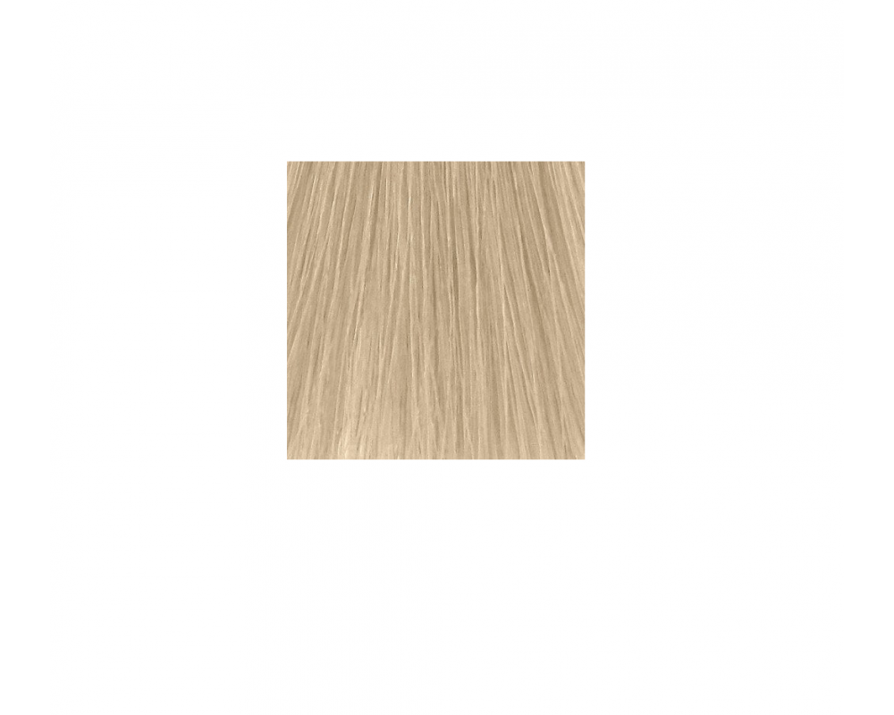 COLOR TOUCH თმის საღებავი 10.0