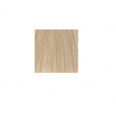 COLOR TOUCH თმის საღებავი 10.0
