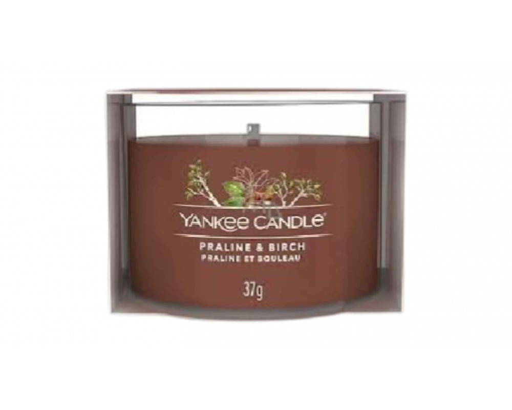 YANKEE CANDLE PRALINE & BIRCH - სურნელოვანი სანთელი 37გ