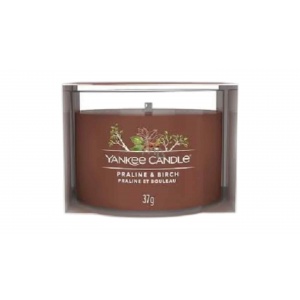 YANKEE CANDLE PRALINE & BIRCH - სურნელოვანი სანთელი 37გ