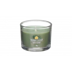 YANKEE CANDLE SAGE & CITRUS -  სურნელოვანი სანთელი 37გ
