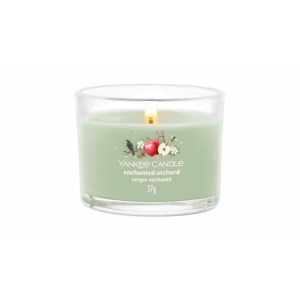 YANKEE CANDLE ENCHANTED ORCHARD-სურნელოვანი სანთელი 37გ