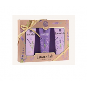 AURORA LAVANDULA სასაჩუქრე ნაკრები ლავანდის 3X