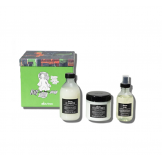DAVINES THE LAZY GIFT SET