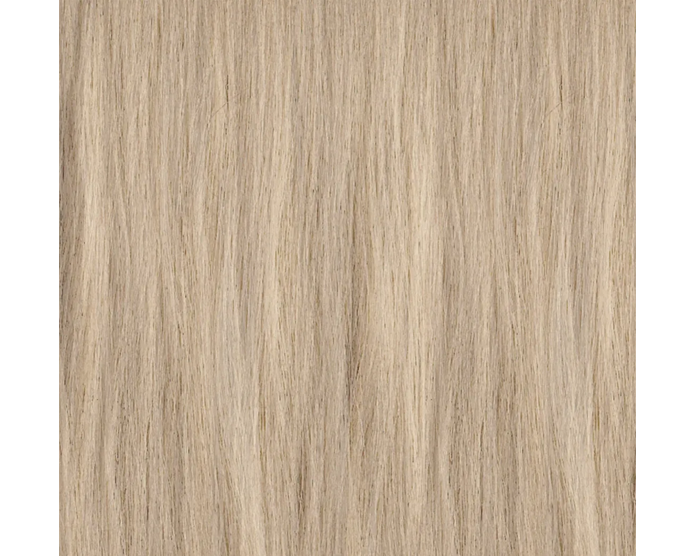 PAUL MITCHELL XG თმის საღებავი 10.0