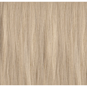 PAUL MITCHELL XG თმის საღებავი 10.0