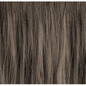 PAUL MITCHELL XG თმის საღებავი 6.1