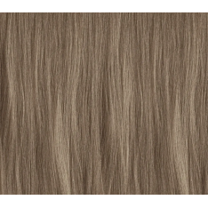 PAUL MITCHELL XG თმის საღებავი 8.80