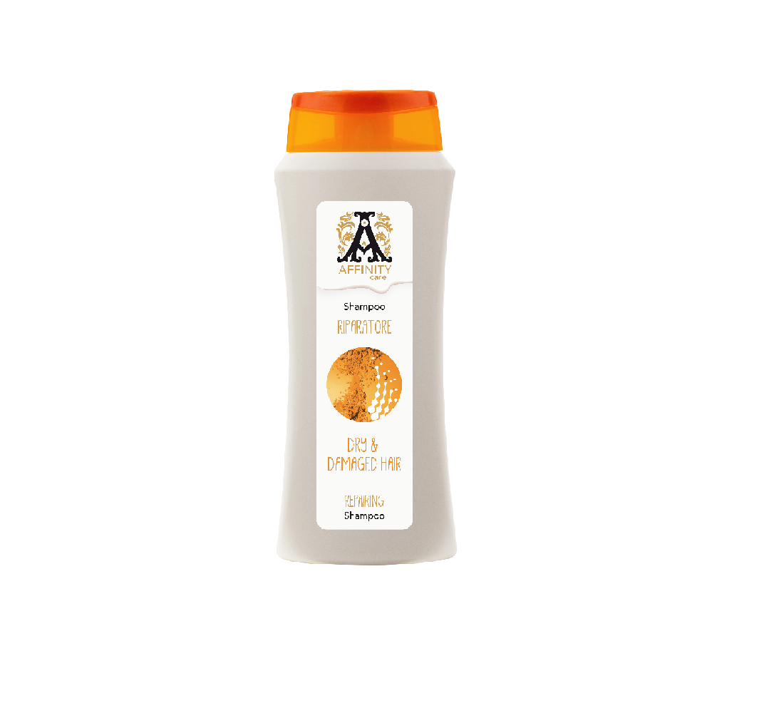 AFFINITY CARE HAMAMELIS&HONEY შამპუნი თმის აღმდგენი 300მლ