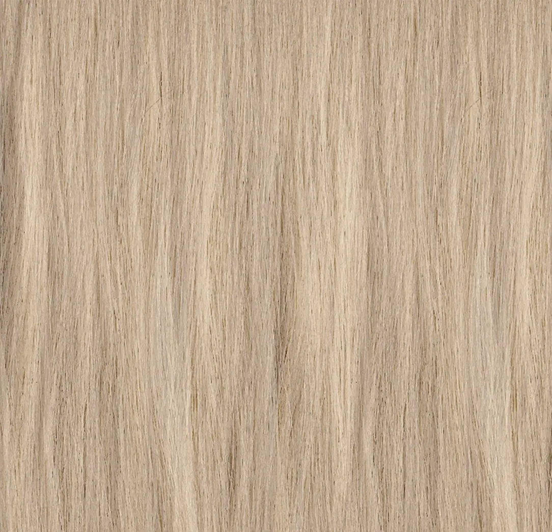 PAUL MITCHELL XG თმის საღებავი 10.0