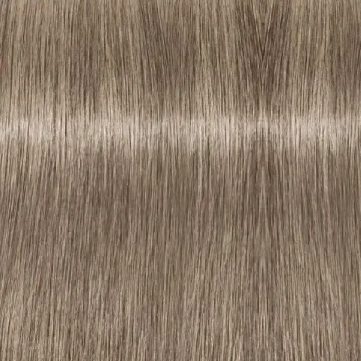 PAUL MITCHELL XG თმის საღებავი 8.1