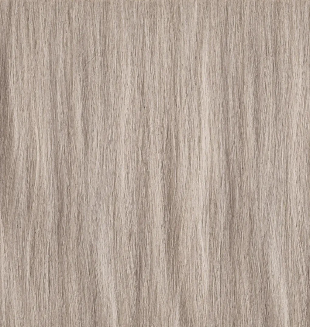 PAUL MITCHELL XG თმის საღებავი 10.1